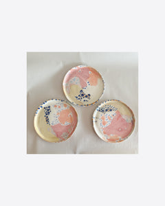 Toast Plate 384